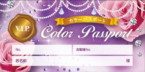 color_passport2